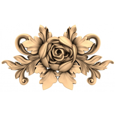 Grazia in fiore