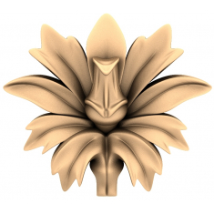 Orkidé blomstrer