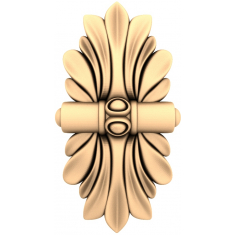 Regal Acanthus