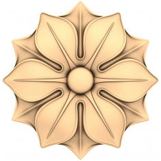 Floral Harmony