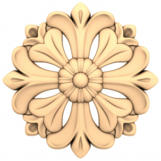 Květinová elegance
