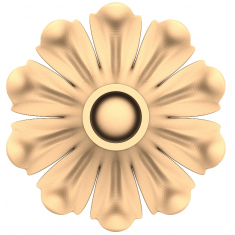 Petal Radiance