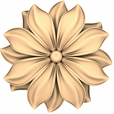 Floral Harmony