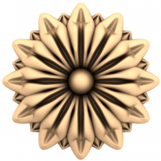 Radiant Daisy Rosette