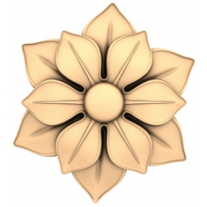 Floral Harmony