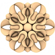 Floral Harmony