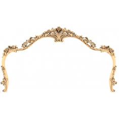 Floral Elegance Frame