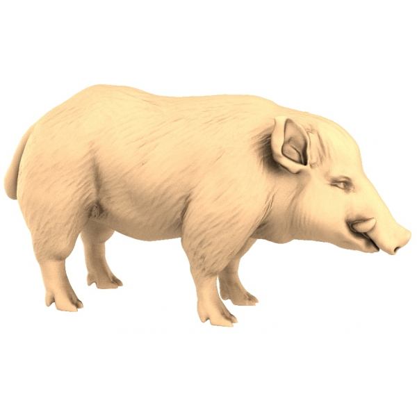 CNC ව්‍යාපෘති සඳහා Majestic Wild Boar 3D STL ආකෘතිය