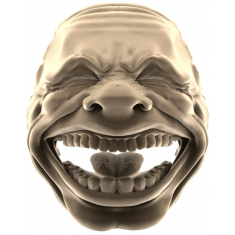 Joyful Visage