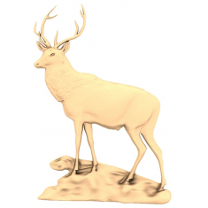 Majestic Elk