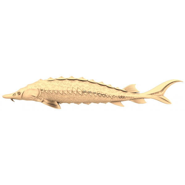 Majestic Sturgeon 3D STL Model pentru CNC