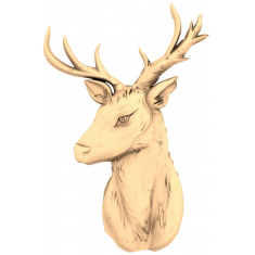 Majestic Stag