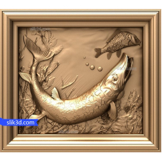 Fish in Motion
