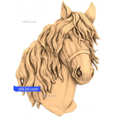 Majestic Equine Elegance