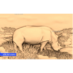 با شکوه کرگدن امداد