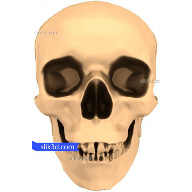Bas-relief "Skull" | STL - 3D model for CNC