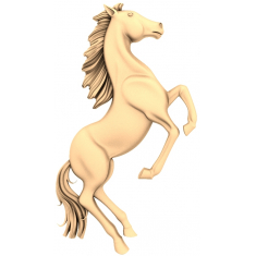 Stallion Spirit