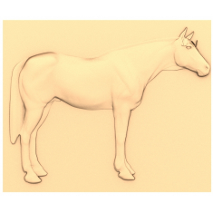 Noble Steed