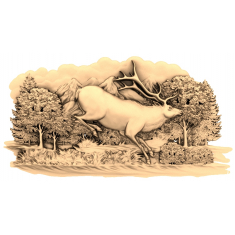 Majestic Forest Stag