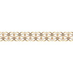 Floral Elegance Border