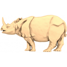 Majestic Rhino
