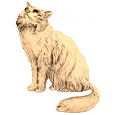 Majestic Feline