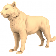 Felino maestoso