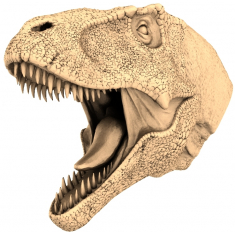 Tyrannosaurus Rex سر مجسمه نیم تنه