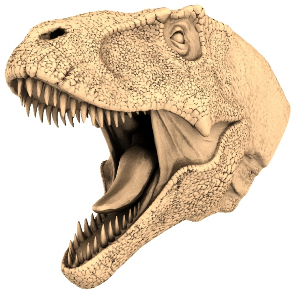 Tyrannosaurus Rex Head Bust 3D STL Model