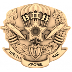 Airborne Pride Shield