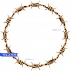 Crown of Thorns