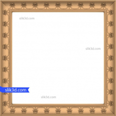 Delicate Ornate Frame