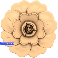 Tudor Rose Delight