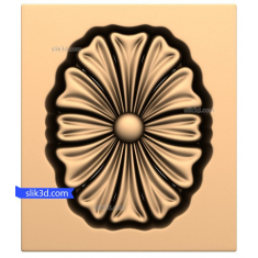 Strahlende Blumenrosette
