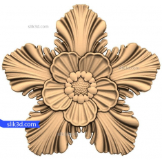 Stralucire florala