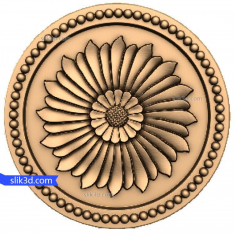 የሱፍ አበባ አበባ