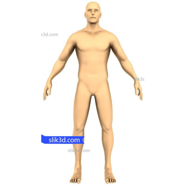 Realistický lidský 3D STL model pro CNC a 3D tisk Realistický lidský 3D STL model pro CNC a 3D tisk